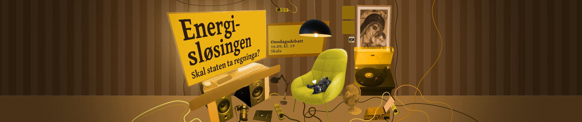 Onsdagsdebatt: Energisløsingen - skal staten ta regninga?